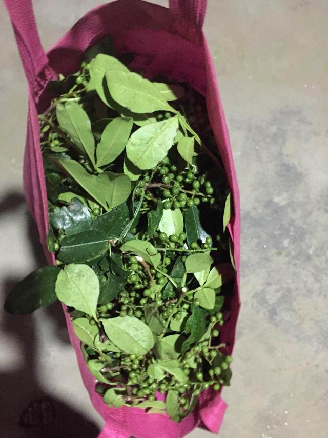 这样的原味儿美食 你值得看一看