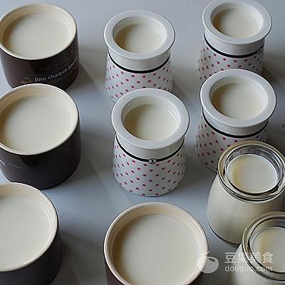 丝滑醇厚的原味酸奶